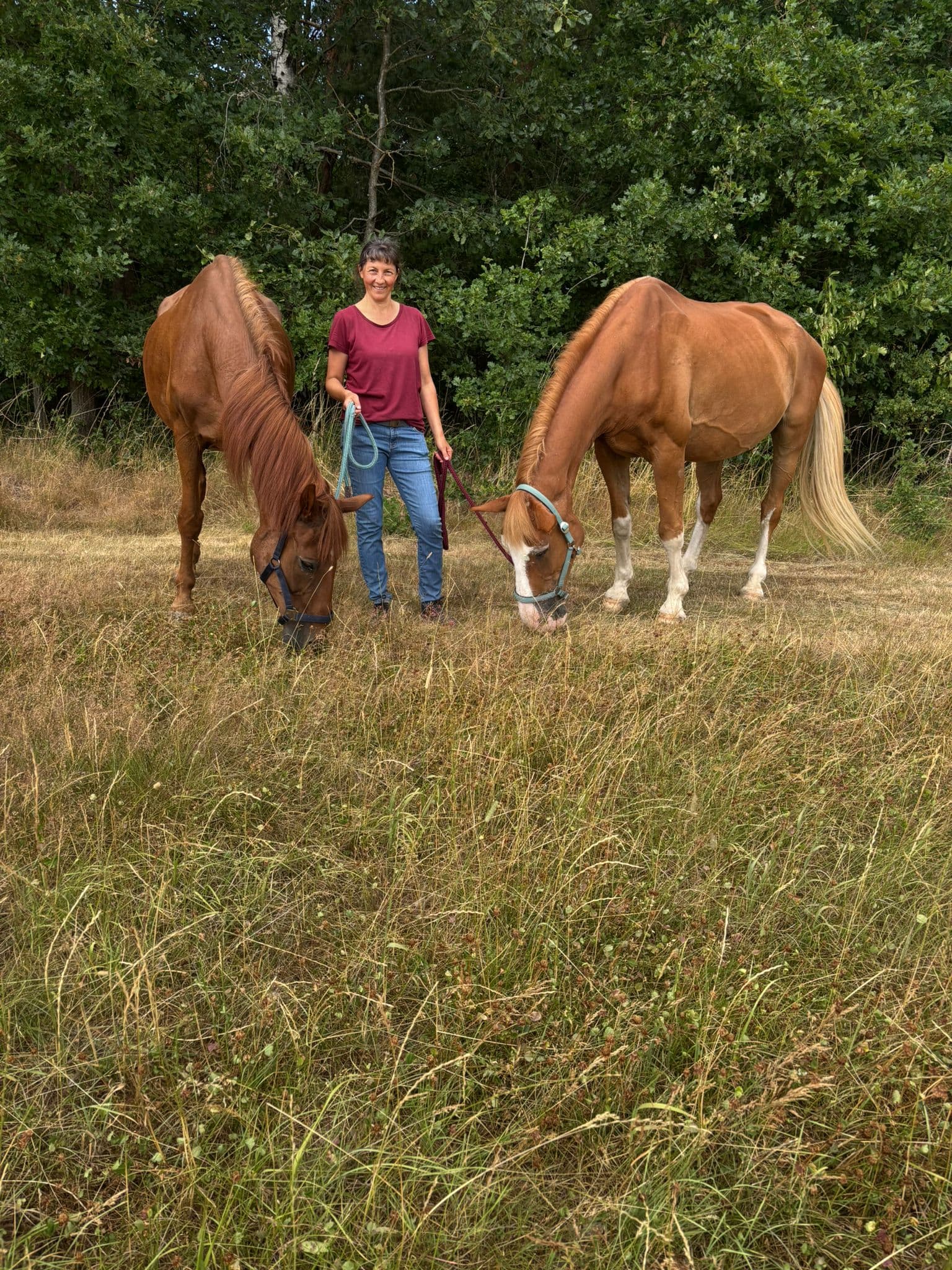 Whitney und Picasso bei der Physio