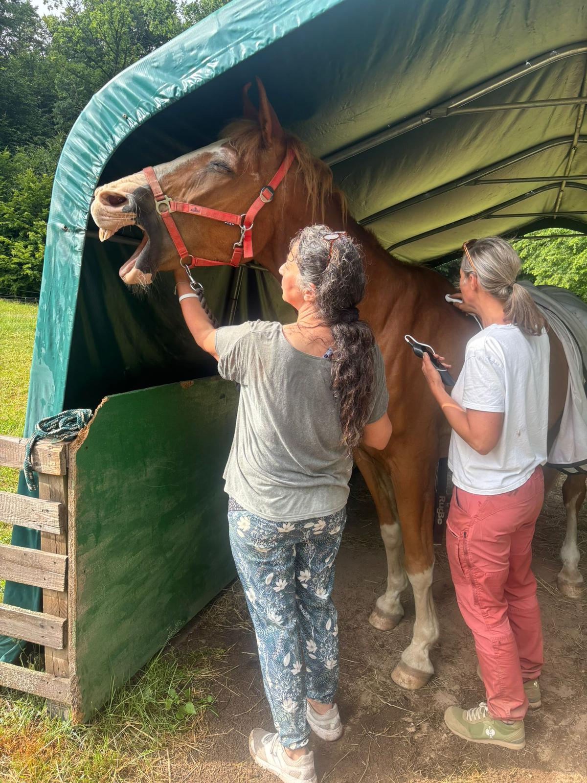 Picasso bei der Physiotherapie