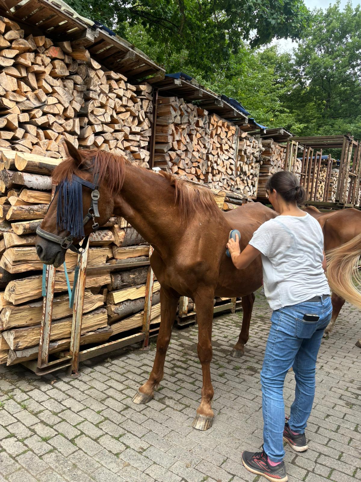 Whitney beim Pflegen