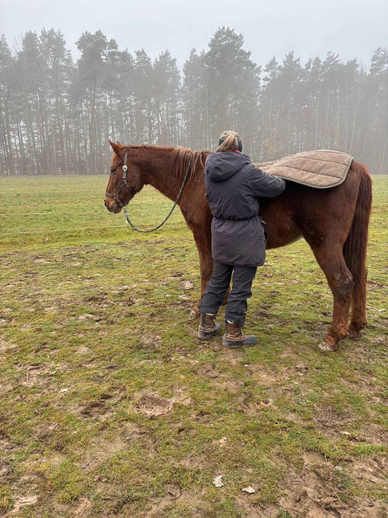 Whitney bei der Physiotherapie