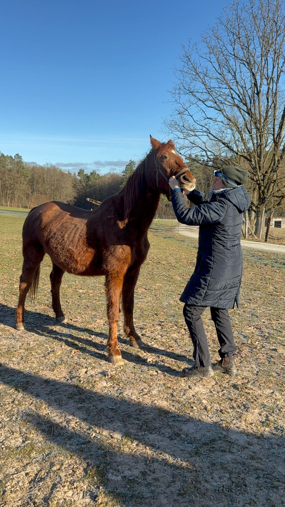 Whitney beim Zahnarzt